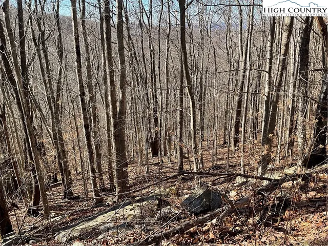 $29,999 | 104 Wintercrest Lane, Beech Mountain, NC 28604