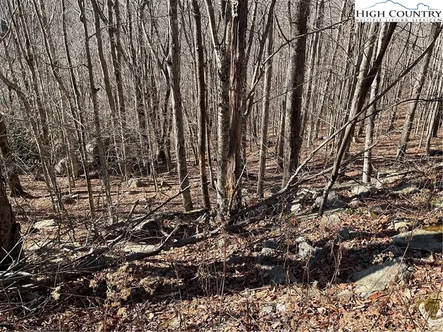 $29,999 | 104 Wintercrest Lane, Beech Mountain, NC 28604