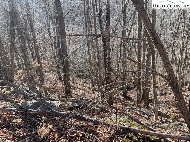 $29,999 | 104 Wintercrest Lane, Beech Mountain, NC 28604