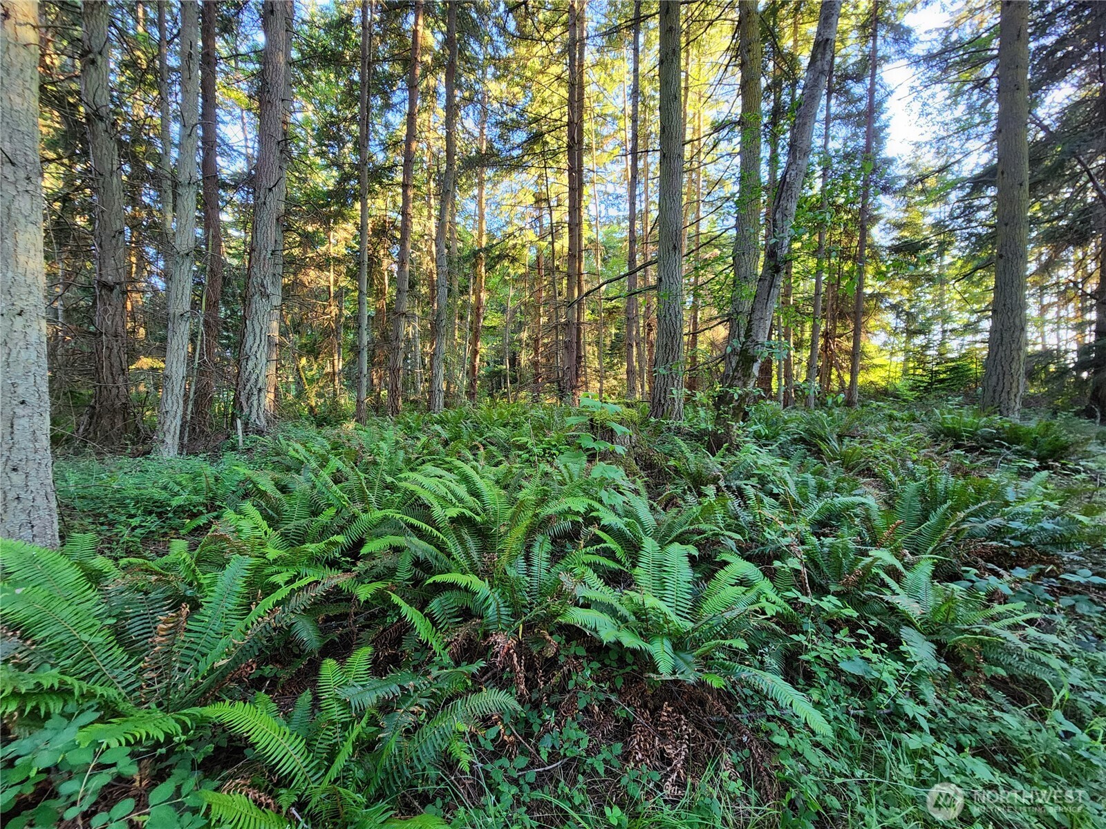 1664 Lancaster Road Freeland, WA 98249 - Photo 2 of 13