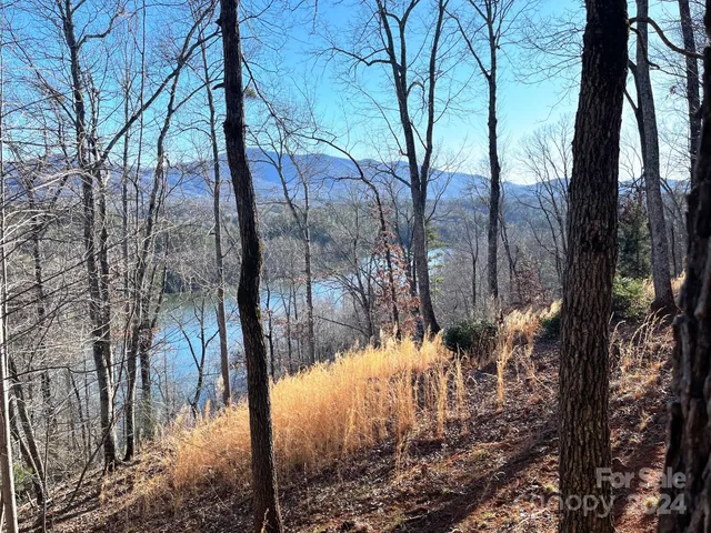 $175,000 | Lot 30 Mountain Pkwy Mill Spring, Mill Spring, NC 28756