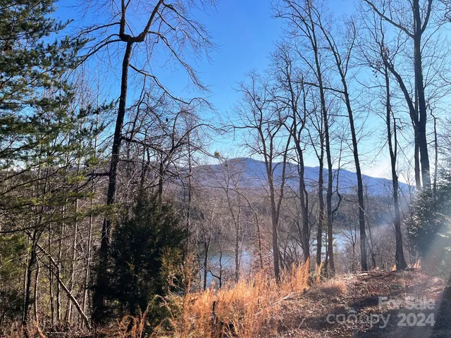 $175,000 | Lot 30 Mountain Pkwy Mill Spring, Mill Spring, NC 28756