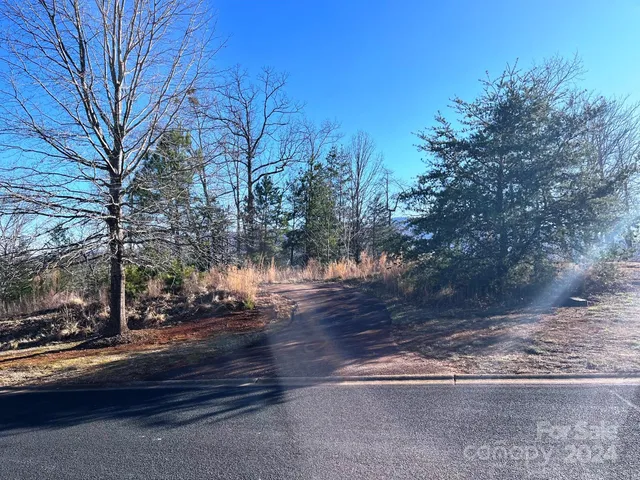$175,000 | Lot 30 Mountain Pkwy Mill Spring, Mill Spring, NC 28756