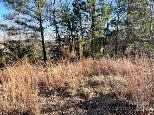 $175,000 | Lot 30 Mountain Pkwy Mill Spring, Mill Spring, NC 28756