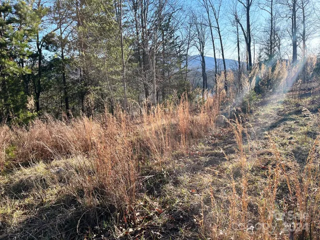 $175,000 | Lot 30 Mountain Pkwy Mill Spring, Mill Spring, NC 28756