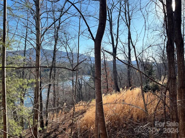 $175,000 | Lot 30 Mountain Pkwy Mill Spring, Mill Spring, NC 28756