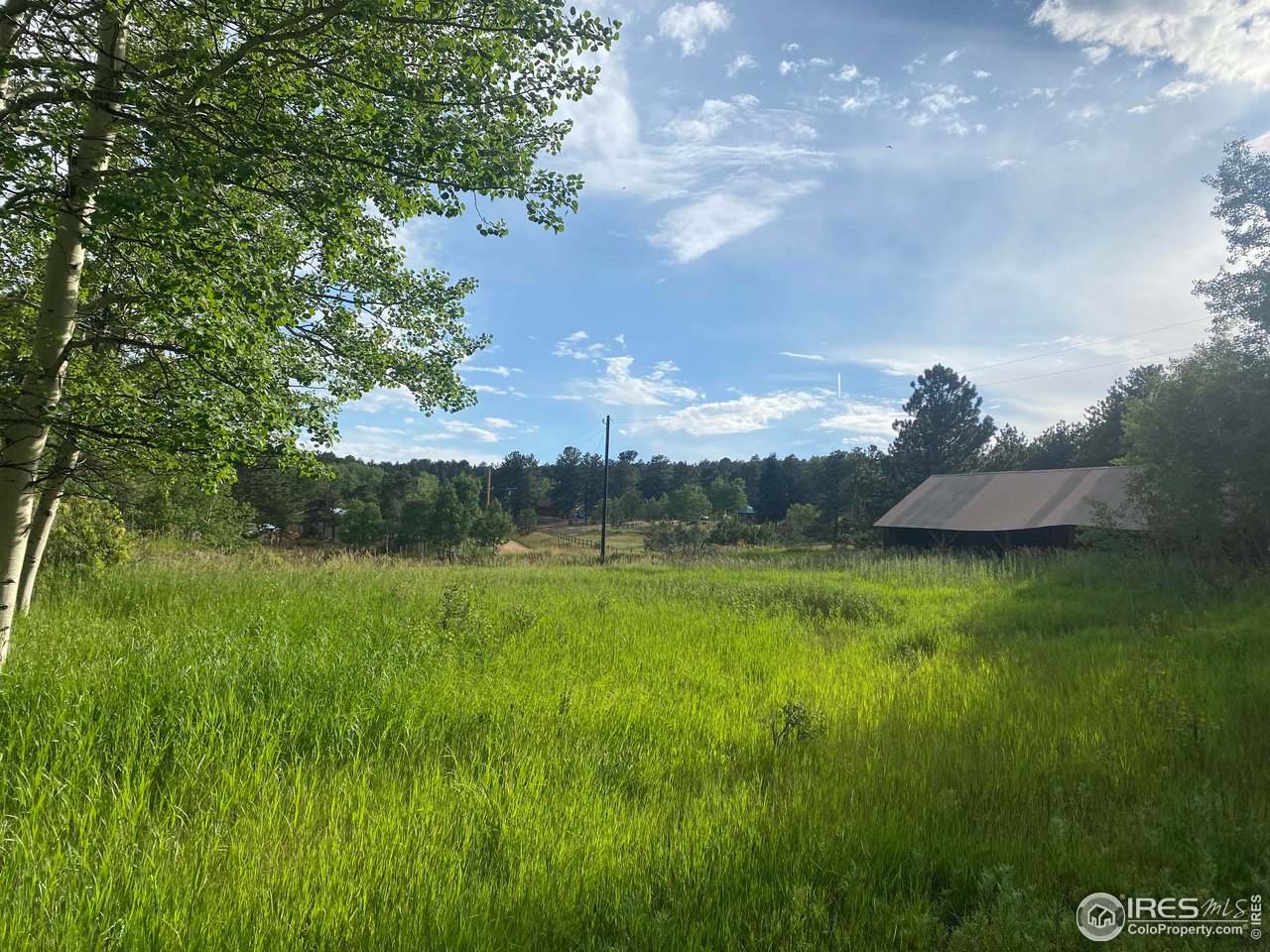 24 Hickok Trail Ward, CO 80481 - Photo 13 of 19 a view of a lush green space