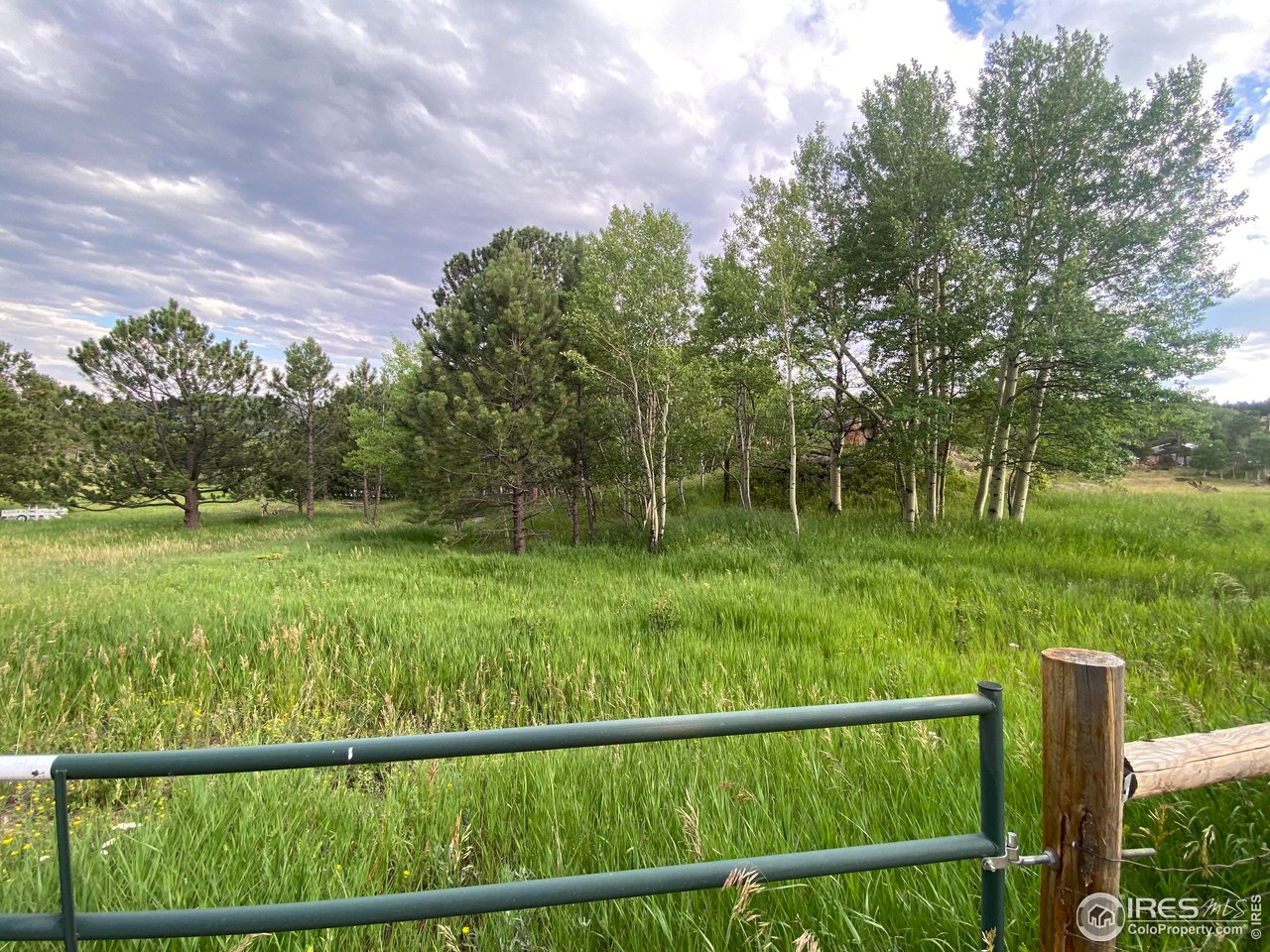 24 Hickok Trail Ward, CO 80481 - Photo 15 of 19 a view of a garden from a lake view