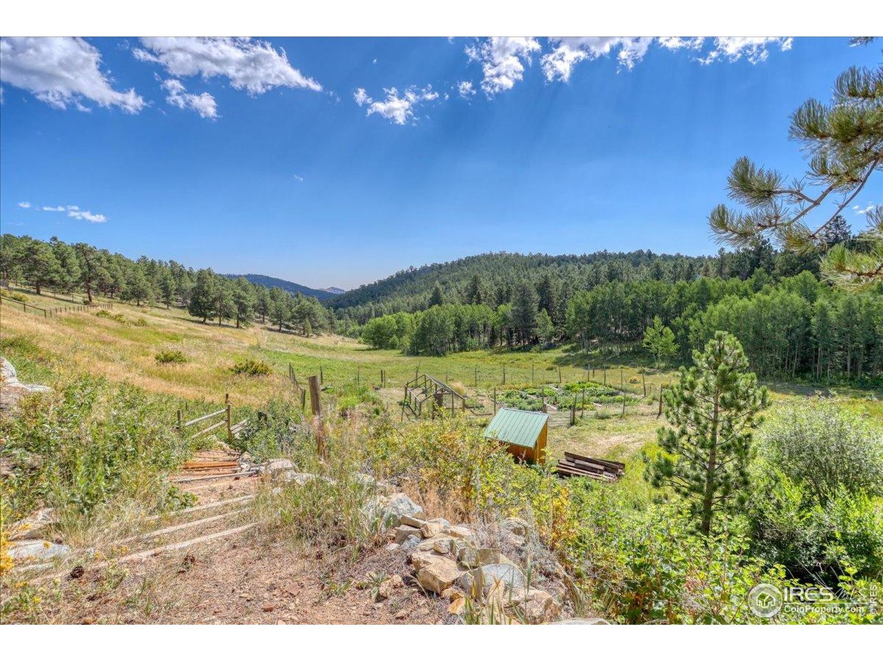 24 Hickok Trail Ward, CO 80481 - Photo 16 of 19 a view of a yard with an ocean