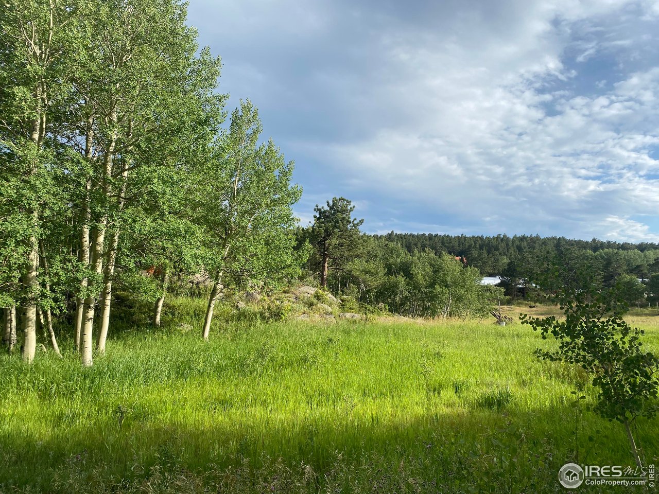 24 Hickok Trail Ward, CO 80481 - Photo 2 of 19 a view of a lush green space