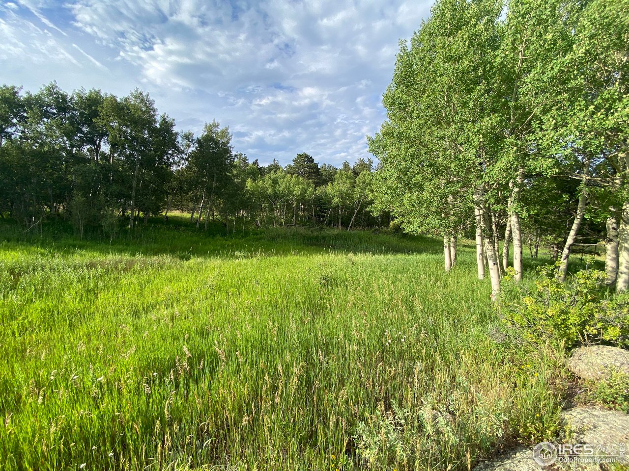 24 Hickok Trail Ward, CO 80481 - Photo 7 of 19 a backyard of a house with lots of green space and garden