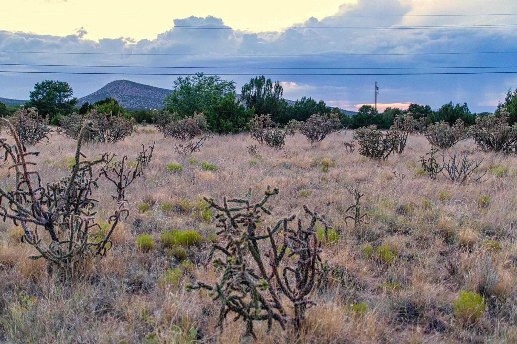 509 Gold Mine Road Cerrillos, NM 87010 - Photo 4 of 20