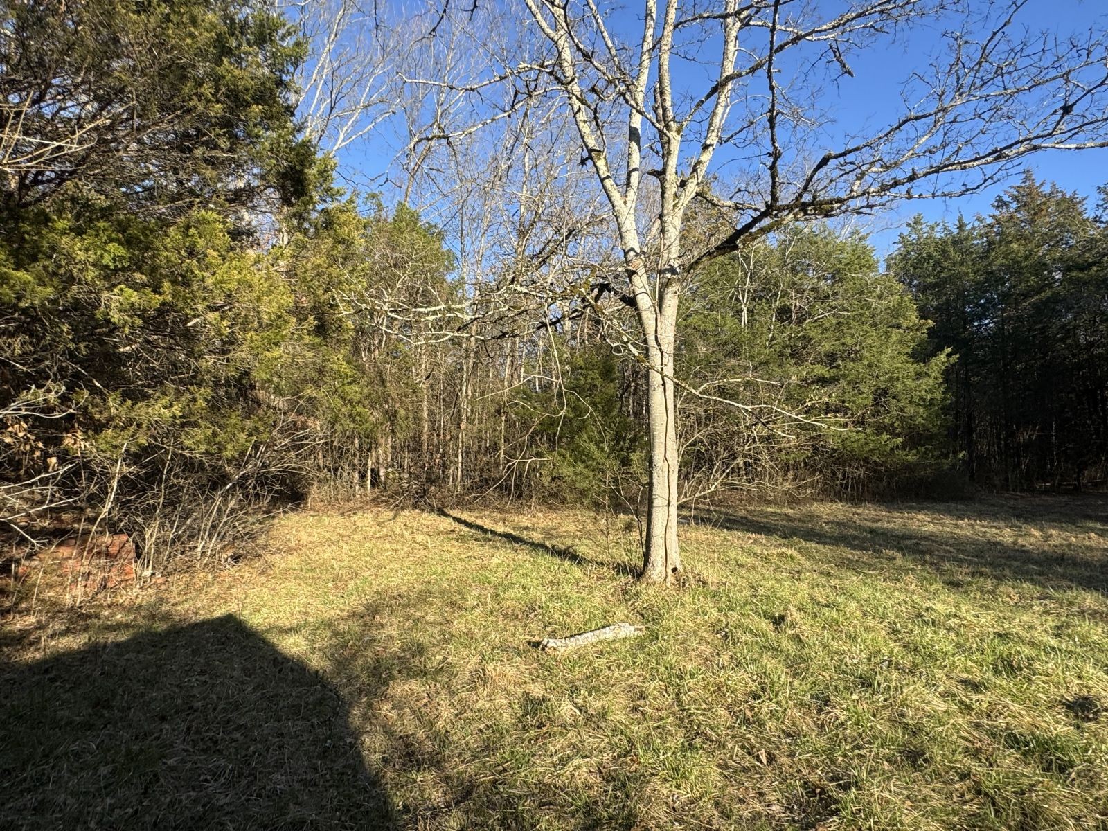 6722 Burnt Knob Road Murfreesboro, TN 37129 - Photo 11 of 15 Gallery Image 11