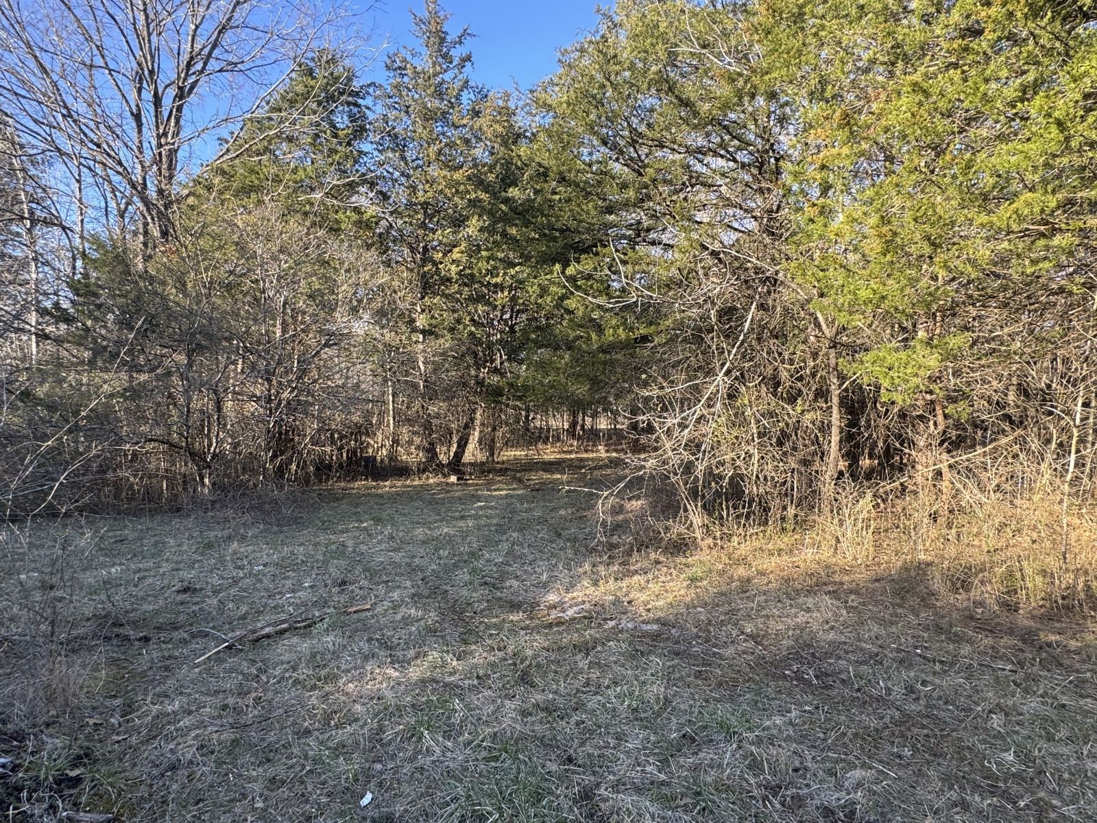 6722 Burnt Knob Road Murfreesboro, TN 37129 - Photo 6 of 15 Gallery Image 6