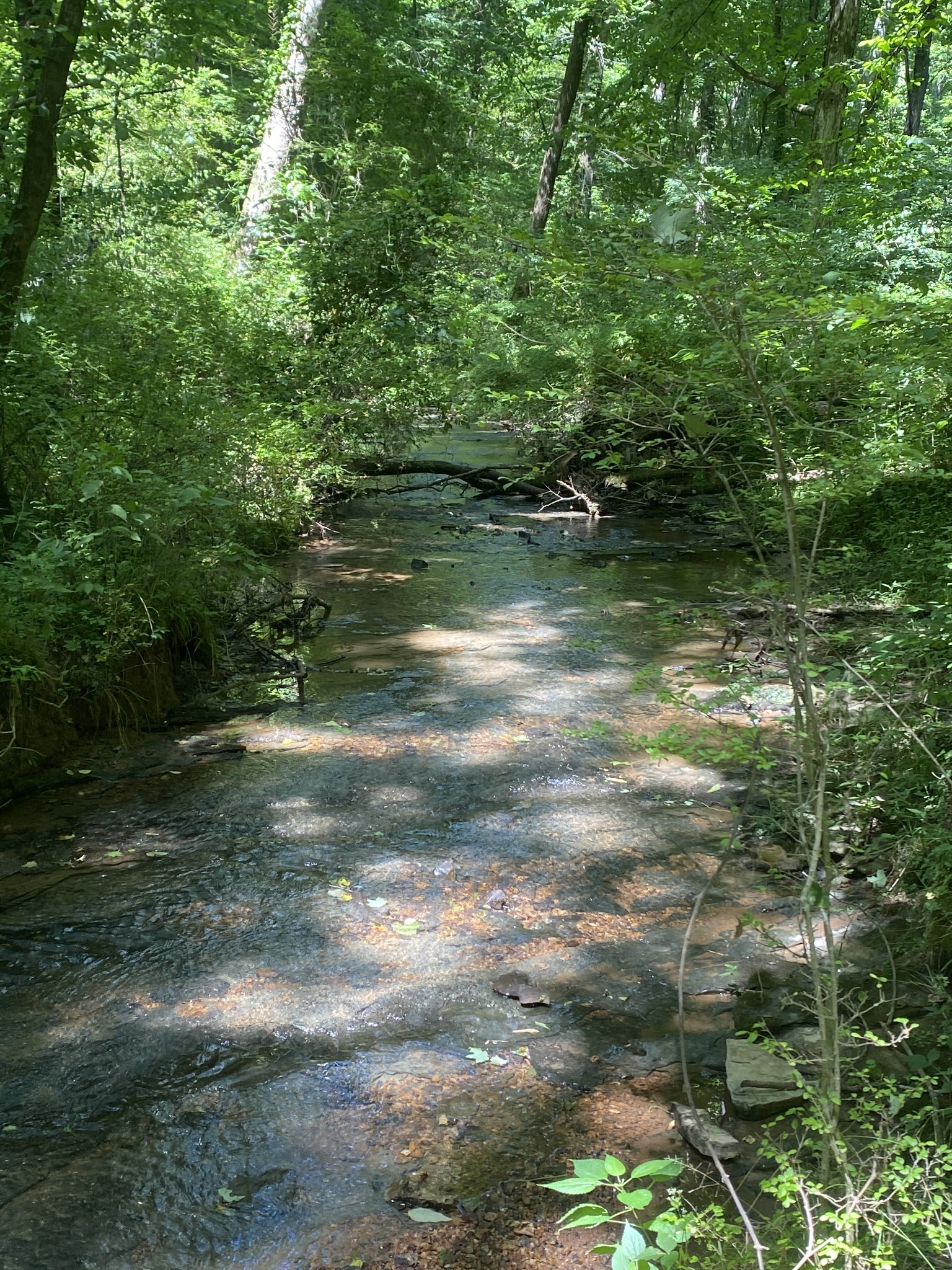 3461 Port Royal Road Adams, TN 37010 - Photo 14 of 30 Gallery Image 14