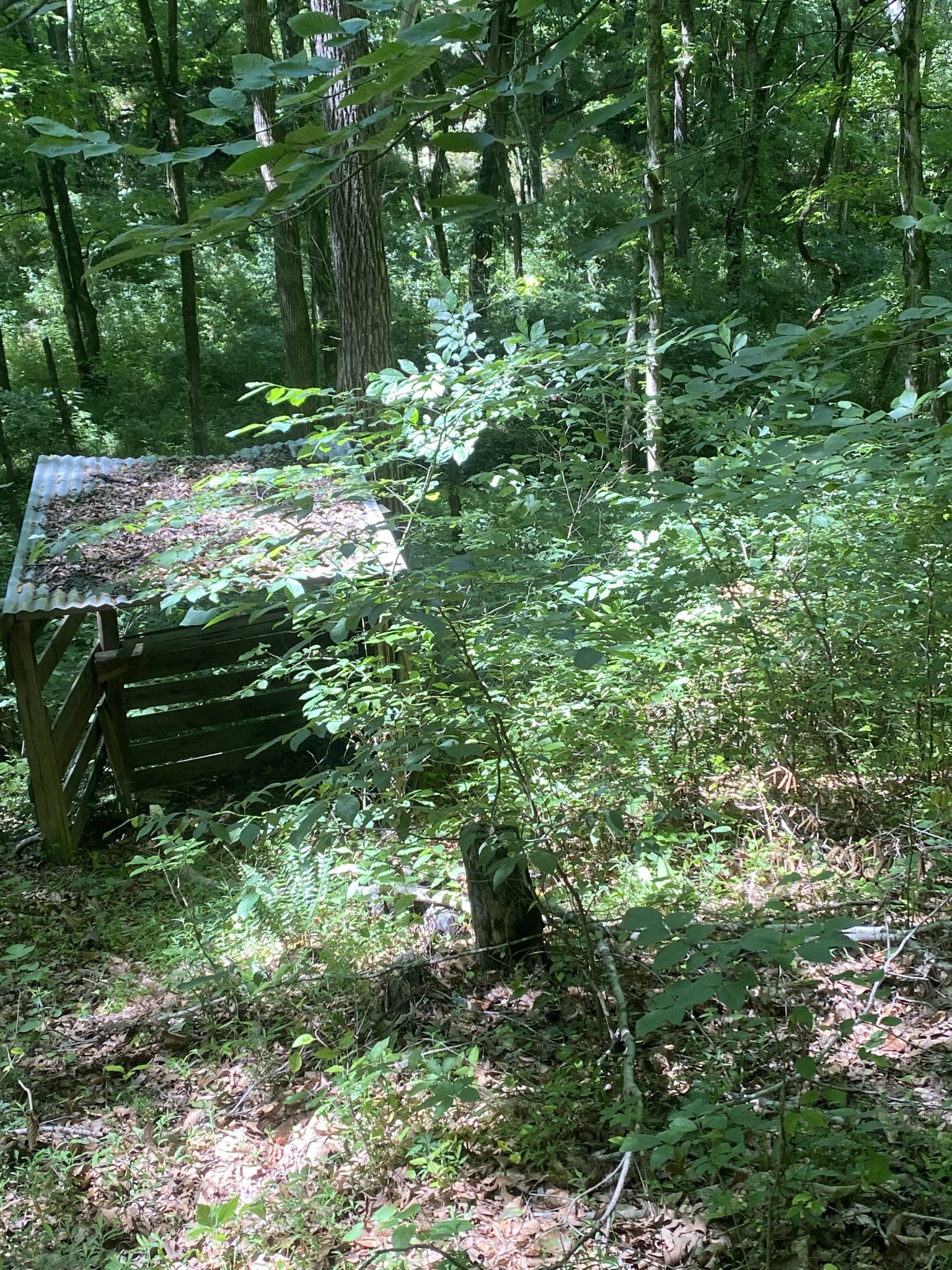 3461 Port Royal Road Adams, TN 37010 - Photo 16 of 30 Gallery Image 16
