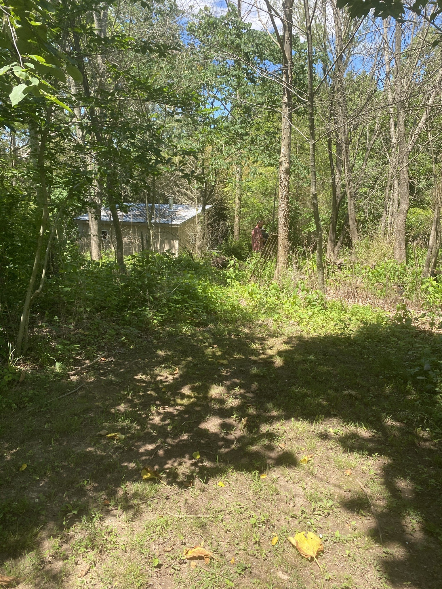 3461 Port Royal Road Adams, TN 37010 - Photo 21 of 30 Gallery Image 21