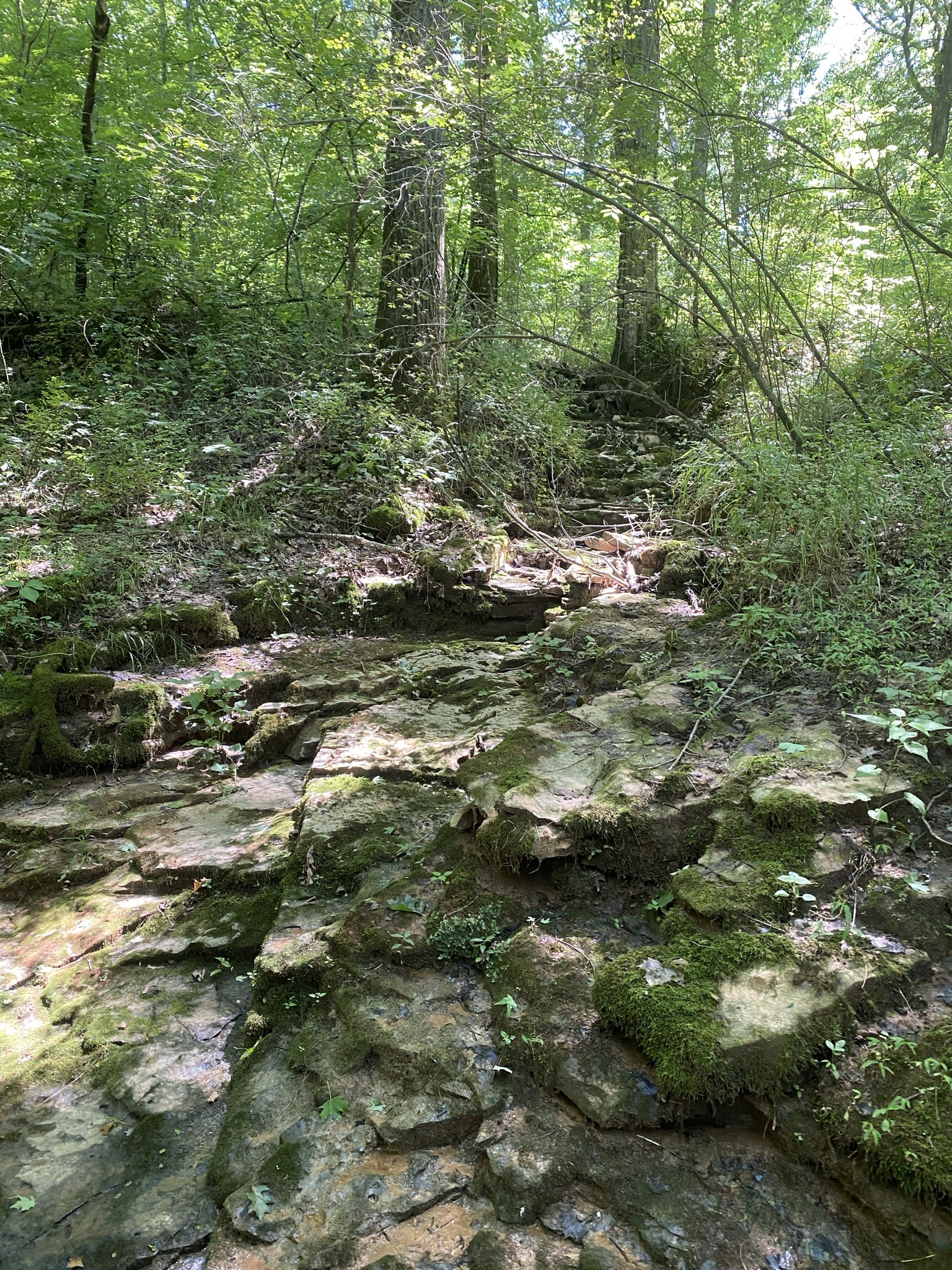 3461 Port Royal Road Adams, TN 37010 - Photo 27 of 30 Gallery Image 27