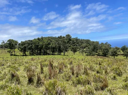 $888,000 | 9 Kaʻaluʻalu Road, Naalehu, HI 96772