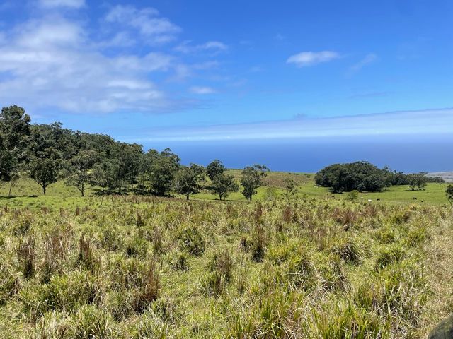 $888,000 | 9 Kaʻaluʻalu Road, Naalehu, HI 96772