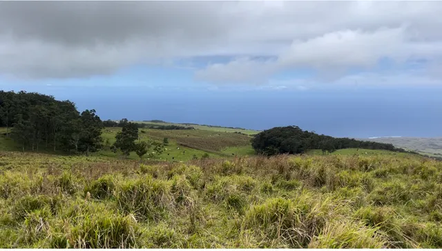 $888,000 | 9 Kaʻaluʻalu Road, Naalehu, HI 96772