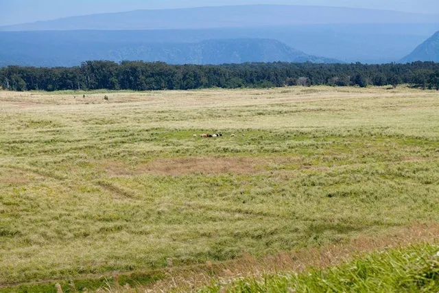 $888,000 | 9 Kaʻaluʻalu Road, Naalehu, HI 96772