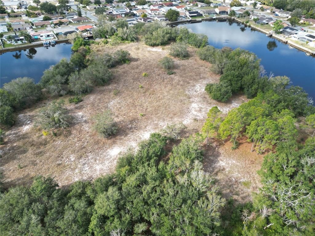 0 Berry Hill Road Holiday, FL 34690 - Photo 11 of 43