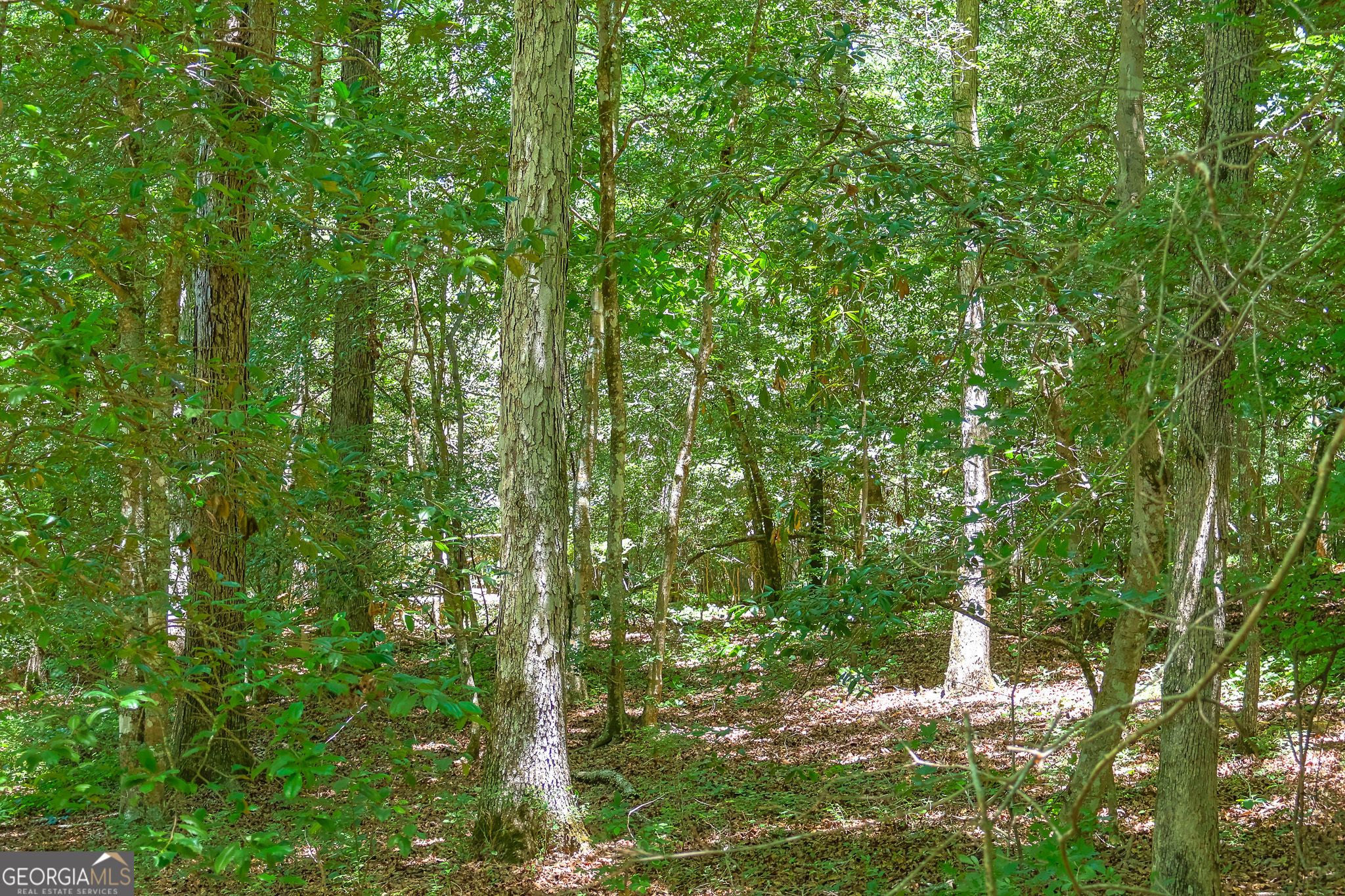 232 Crane Road Cochran, GA 31014 - Photo 7 of 20