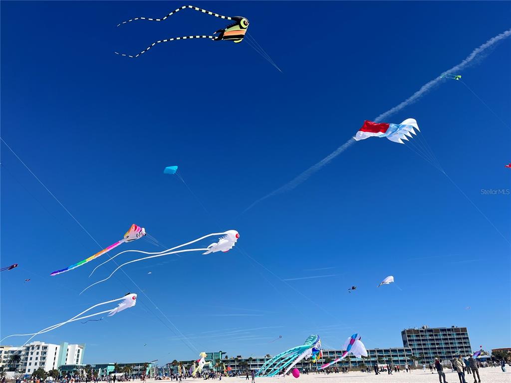 11315 3rd Street East Treasure Island, FL 33706 - Photo 45 of 46 a view of an empty room with a fan