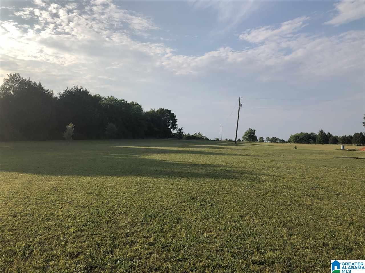 106 Maple Street Gallion, AL 36742 - Photo 2 of 24