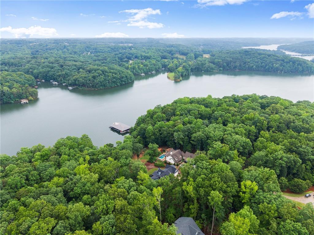4847 Destitute Way Gainesville, GA 30506 - Photo 62 of 67 an aerial view of green landscape with trees houses and lake view