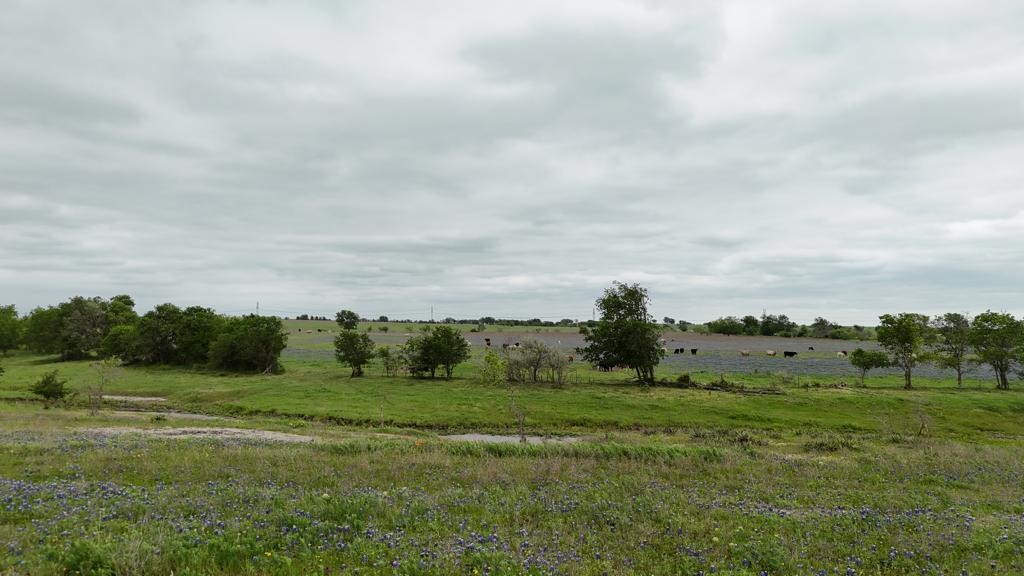 Tbd Hackberry Road Holland, TX 76534 - Photo 21 of 40