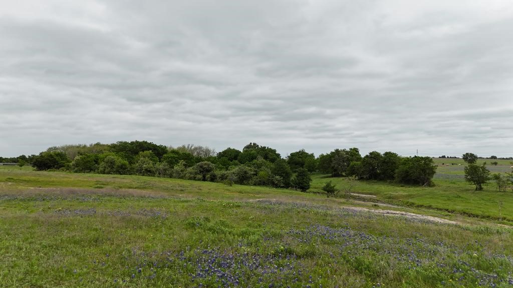 Tbd Hackberry Road Holland, TX 76534 - Photo 22 of 40