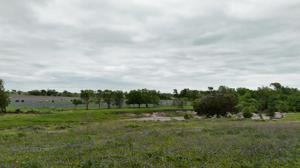 Tbd Hackberry Road Holland, TX 76534 - Photo 23 of 40