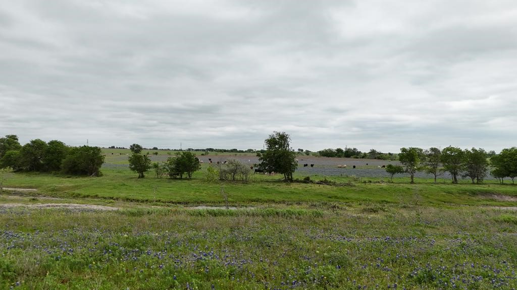 Tbd Hackberry Road Holland, TX 76534 - Photo 24 of 40