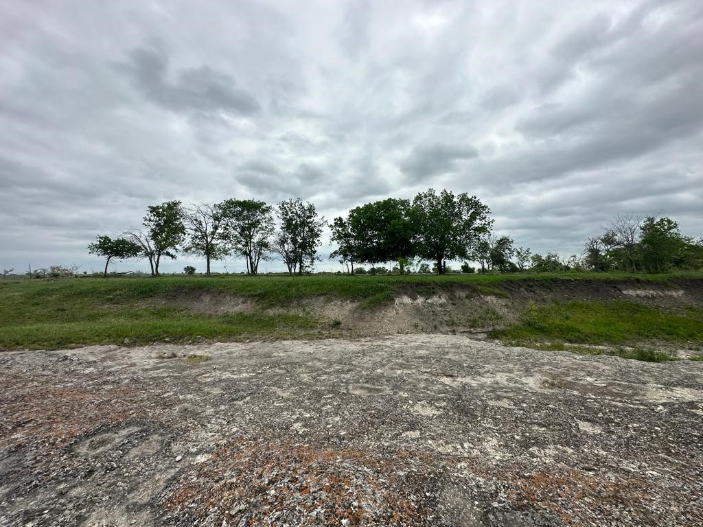 Tbd Hackberry Road Holland, TX 76534 - Photo 25 of 40