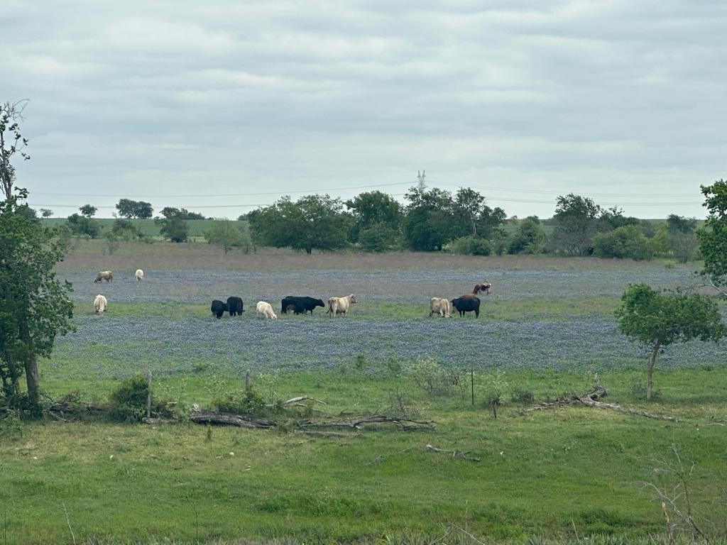 Tbd Hackberry Road Holland, TX 76534 - Photo 6 of 40