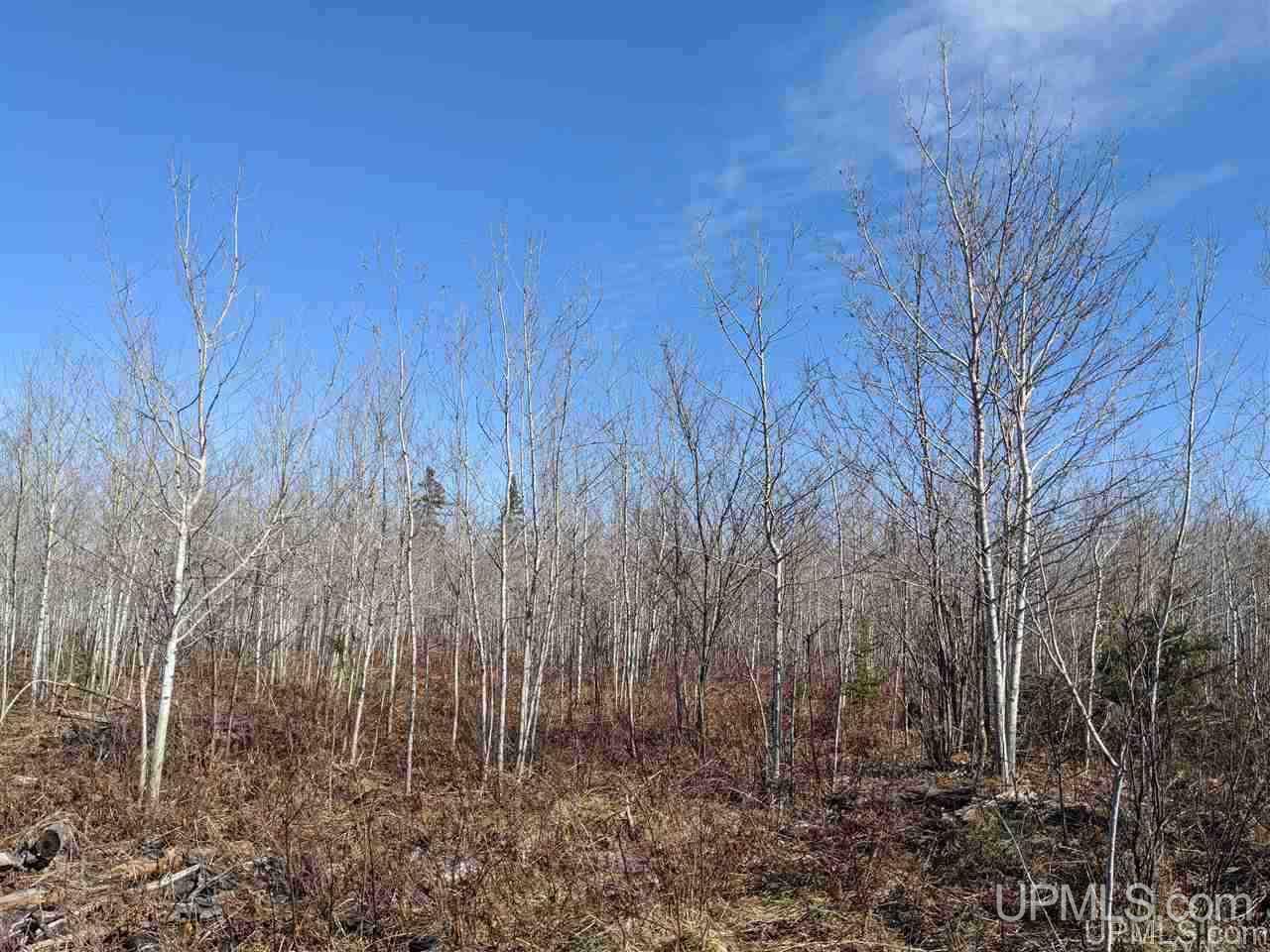 3 Little Bull Road Crystal Falls, MI 49920 - Photo 6 of 9