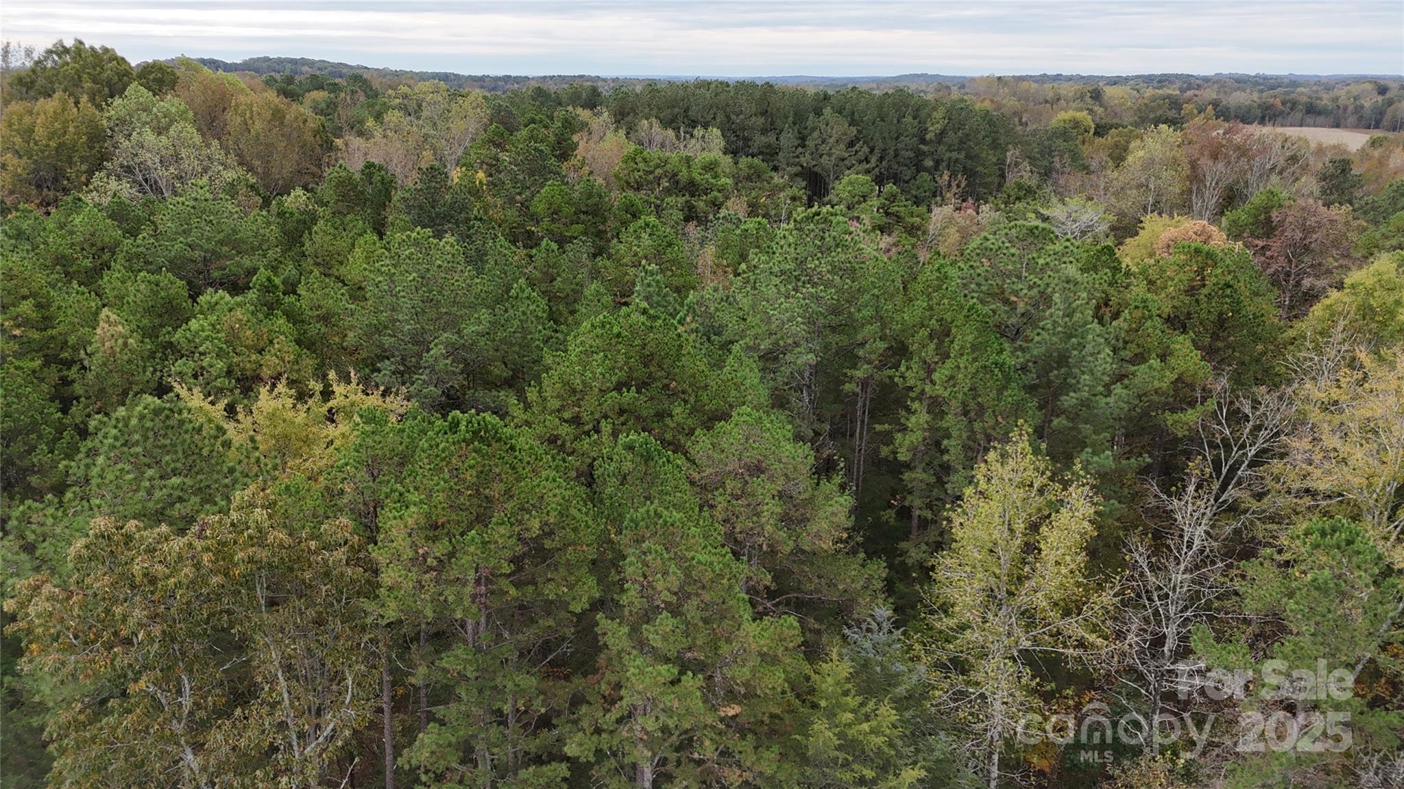 0 Trinity Church Road Monroe, NC 28112 - Photo 3 of 5 a view of a forest with trees in the background