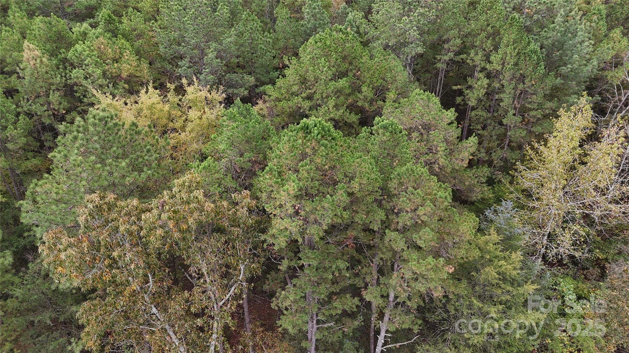 0 Trinity Church Road Monroe, NC 28112 - Photo 5 of 5