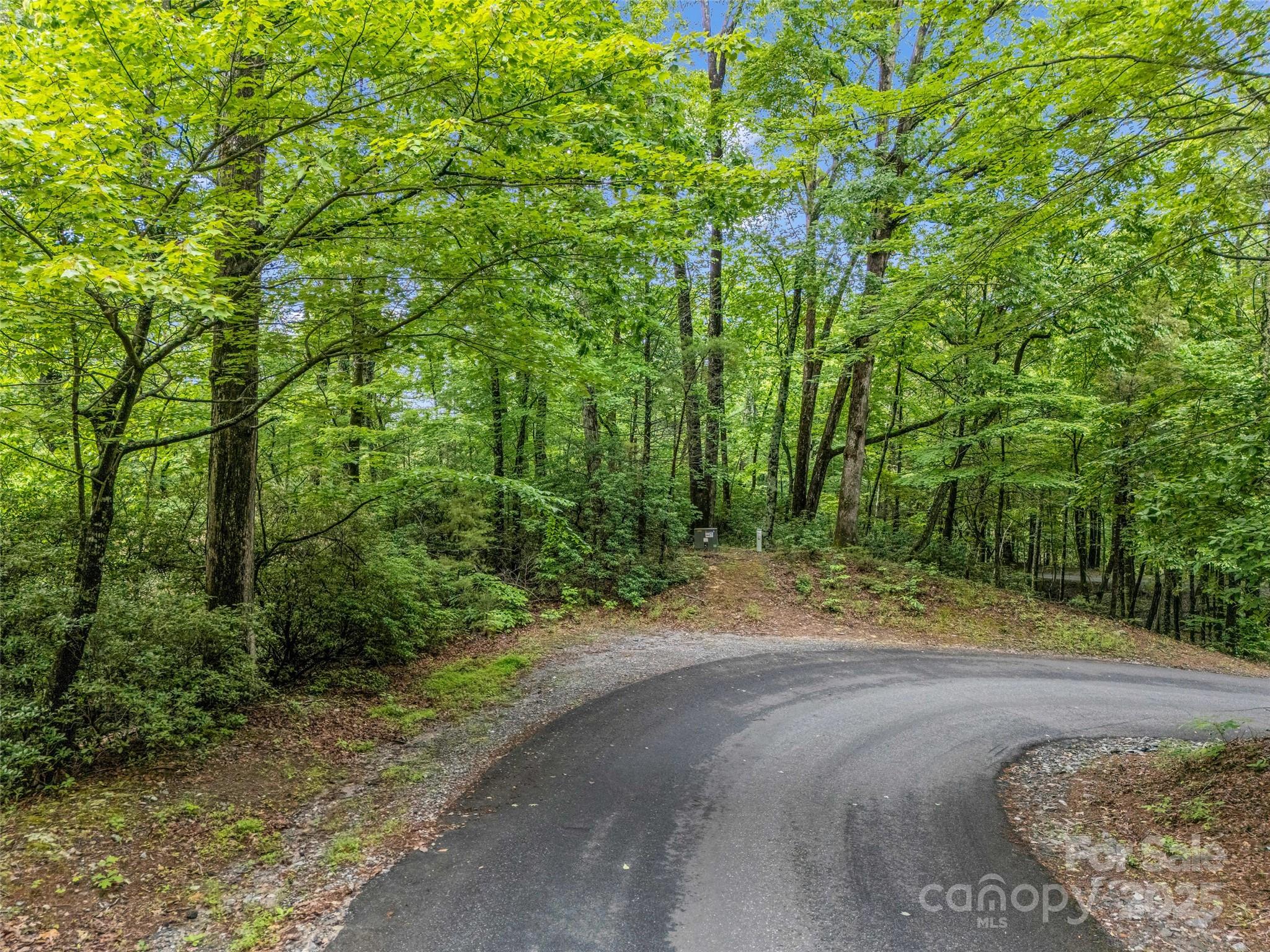 0 Quail Ridge Road, Unit 214 Tryon, NC 28782 - Photo 18 of 38
