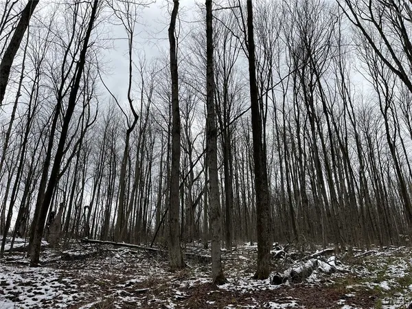 $47,900 | Jersey Hill Road, Canaseraga, NY 14822