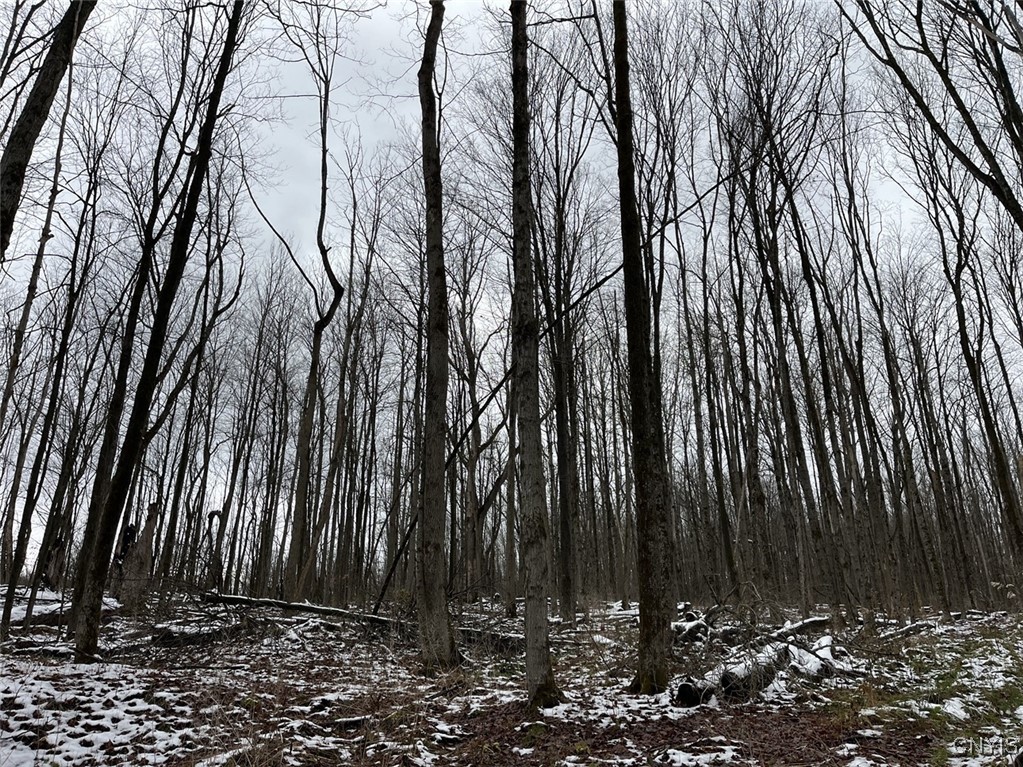 Jersey Hill Road Canaseraga, NY 14822 - Photo 11 of 11