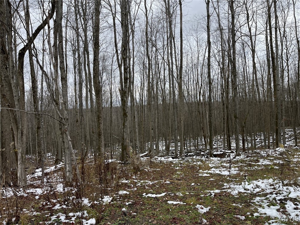 Jersey Hill Road Canaseraga, NY 14822 - Photo 2 of 11