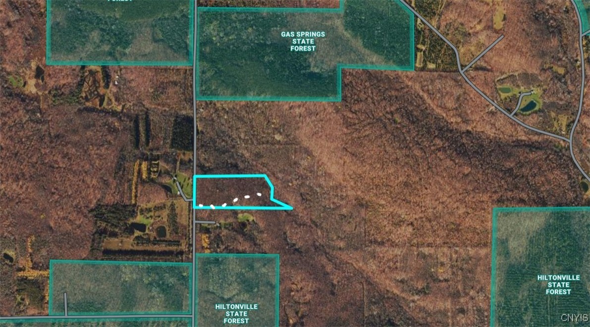 Jersey Hill Road Canaseraga, NY 14822 - Photo 4 of 11