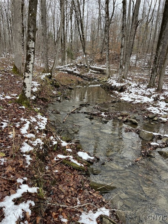 Jersey Hill Road Canaseraga, NY 14822 - Photo 5 of 11