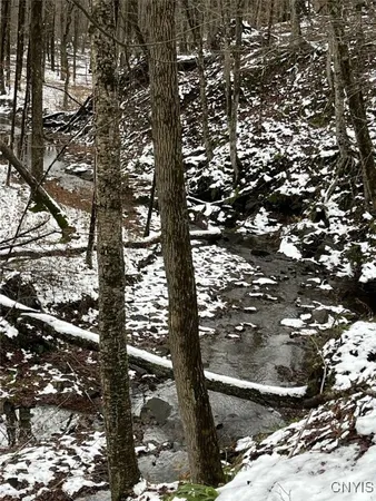 $47,900 | Jersey Hill Road, Canaseraga, NY 14822