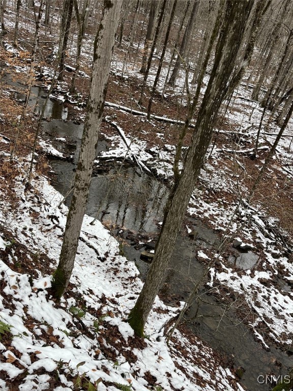 Jersey Hill Road Canaseraga, NY 14822 - Photo 7 of 11