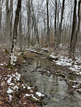 $47,900 | Jersey Hill Road, Canaseraga, NY 14822