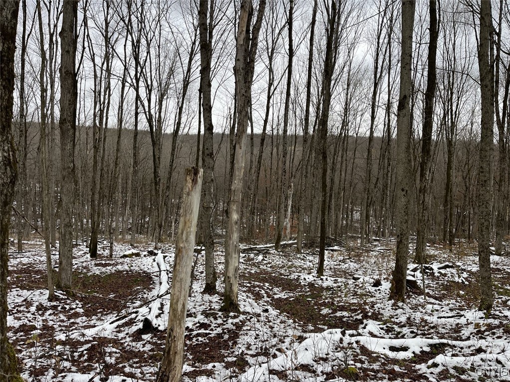 Jersey Hill Road Canaseraga, NY 14822 - Photo 9 of 11